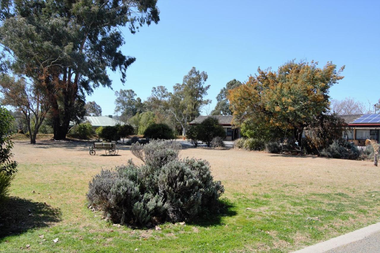 Civic Motor Inn Cowra Exteriör bild